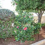 T1 Da Rocha Clube Mar アパート