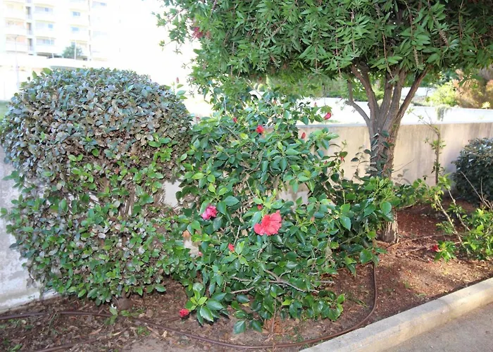 T1 Da Rocha Clube Mar Appartement